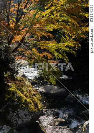 [Shizuoka Prefecture] Kawazu Seven Waterfalls 85114135
