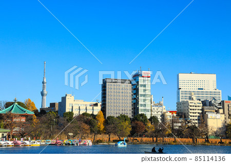 [Tokyo] Scenery of Ueno Onshi Park and Shinobazu Pond 85114136