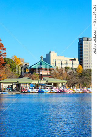 [Tokyo] Scenery of Ueno Onshi Park and Shinobazu Pond 85114153