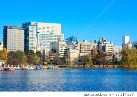 [Tokyo] Scenery of Ueno Onshi Park and Shinobazu Pond 85114157