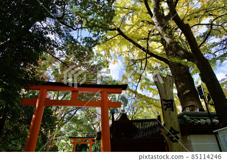 Kawai Shrine in the precincts of Shimogamo Shrine 85114246