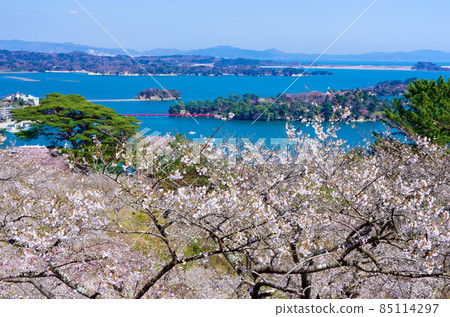 Spring Japan's Three Views Matsushima Spring Japan's Three Views Matsushima 85114297