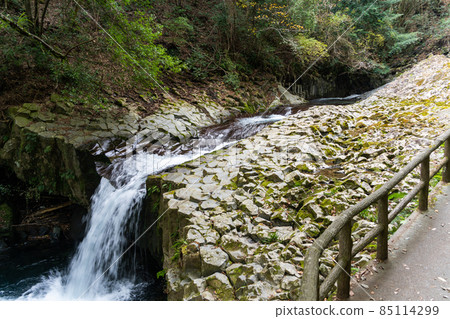 [Shizuoka Prefecture] Kawazu Nanataki Snake Waterfall 85114299