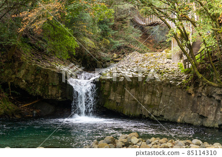 [Shizuoka Prefecture] Kawazu Nanataki Snake Waterfall 85114310