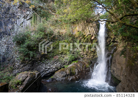[Shizuoka Prefecture] Kawazu Nanataki Kamadaru 85114328