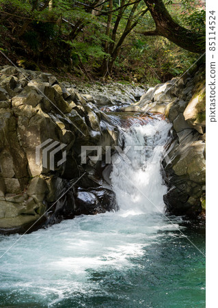 [Shizuoka Prefecture] Kawazu Nanataki Crab Waterfall 85114524