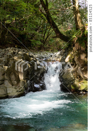 [Shizuoka Prefecture] Kawazu Nanataki Crab Waterfall 85114525