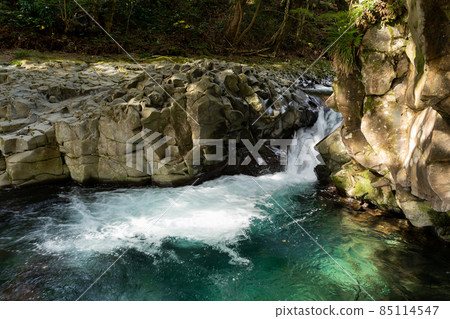 [Shizuoka Prefecture] Kawazu Nanataki Crab Waterfall 85114547