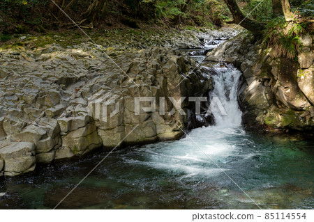 [Shizuoka Prefecture] Kawazu Nanataki Crab Waterfall 85114554