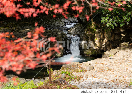 [Shizuoka Prefecture] Kawazu Nanataki Crab Waterfall 85114561