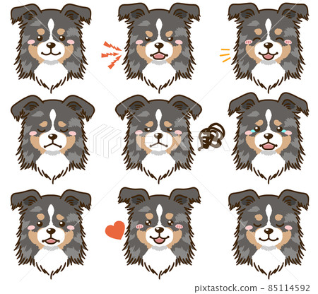 Sheltie (Blue Merle) facial expression face icon Sheltie (Blue Merle) facial expression face icon 85114592