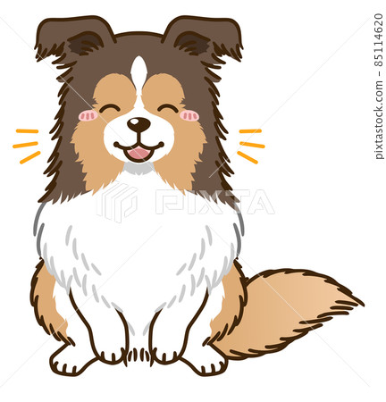 Rejoice Sheltie (Sable) 85114620