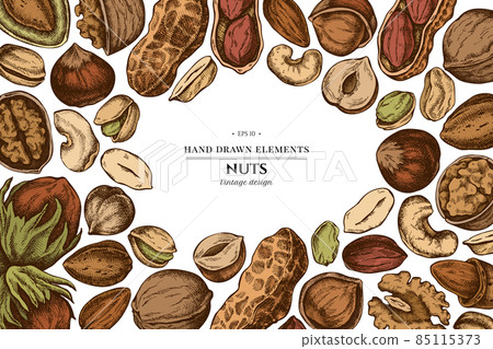 Colored elements design with cashew, peanut, pistachio, hazelnut, almond, walnut Colored elements design with cashew, peanut, pistachio, hazelnut, almond, walnut 85115373