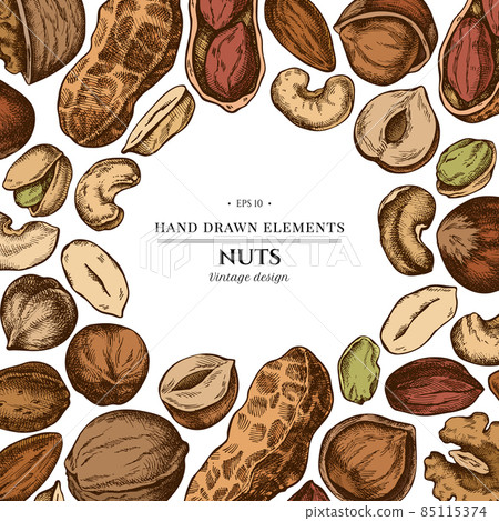 Colored elements design with cashew, peanut, pistachio, hazelnut, almond, walnut Colored elements design with cashew, peanut, pistachio, hazelnut, almond, walnut 85115374