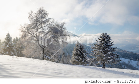 Winter landscape with snowy trees and mountains at sunny day. Winter landscape with snowy trees and mountains at sunny day. 85115758