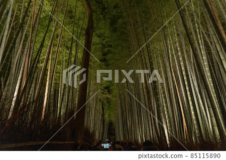 京都冬花燈路嵐山、渡月橋及周邊景色 京都冬花燈路嵐山、渡月橋及周邊景色 85115890