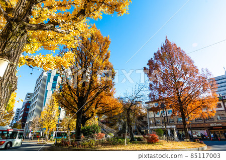 Musashino City, Tokyo, Mitaka Station North Exit 85117003