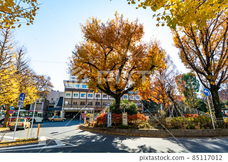Musashino City, Tokyo, Mitaka Station North Exit 85117012