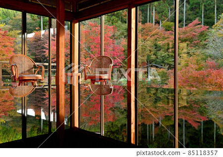 Autumn leaves reflected on the desk of the forest of environmental art Autumn leaves reflected on the desk of the forest of environmental art 85118357