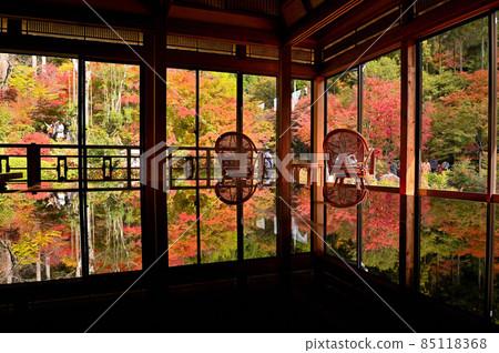 Autumn leaves reflected on the desk of the forest of environmental art 85118368