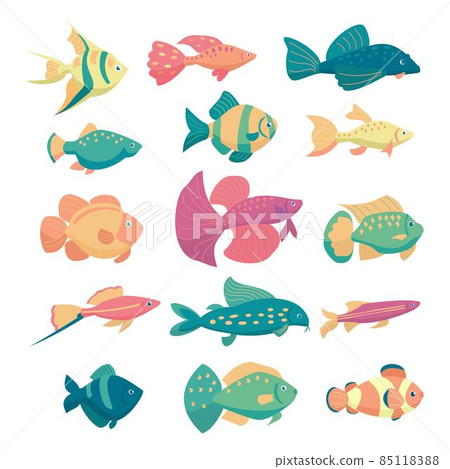 Aquarium fish collection isolated on white background. Cute cartoon vector illustration set. Aquarium fish collection isolated on white background. Cute cartoon vector illustration set. 85118388