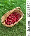 delicious fresh red sweet cherries in basket. grass background 85118894