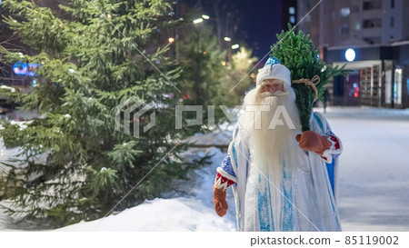 Russian santa claus carries a christmas tree outdoors. 85119002