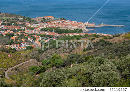 The amazing aerial view over Collioure from Fort Saint Elme surrounded by vineyards, Vermeille coast 85119267