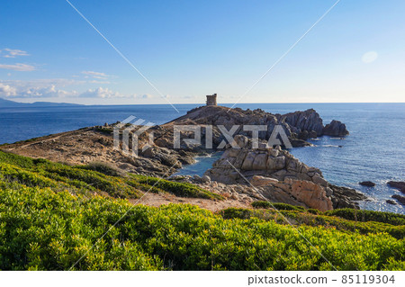 Coastline near Cargese on the Island of Corsica France, Tower of Omigna 85119304