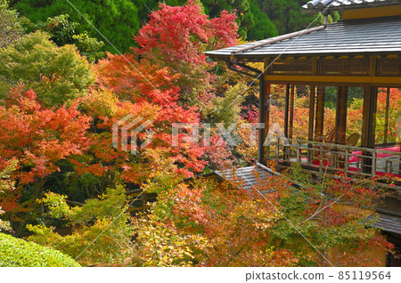 環境藝術森林中的風遊山莊 85119564
