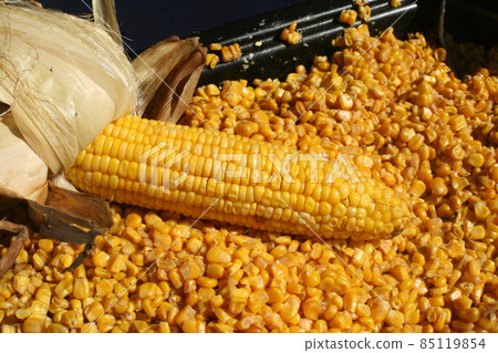 Fresh Roasted Sweet Corn at County Fair 85119854
