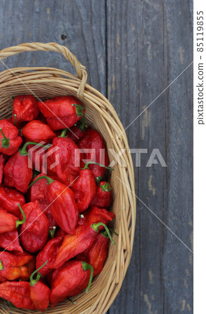 Basket of Fresh Bhut Jolokia Ghost Chili Peppers at rural farmers market 85119855