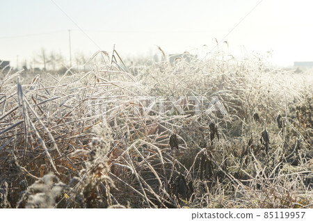 零度以下的世界 零度以下的世界 85119957
