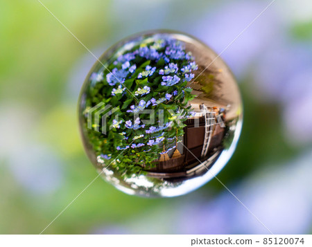 Soratama Soratama Hydrangea Soratama Soratama Hydrangea 85120074