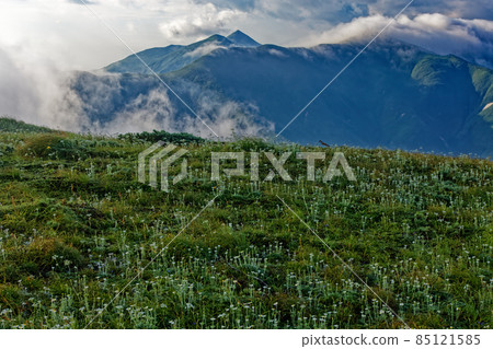 The ridgeline where clouds flow from the Asahi mountain range and Mt. 85121585