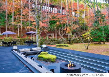 Autumn leaves garden and bonfire full of taste 85123020