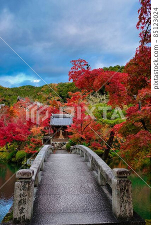 Autumnal leaves and stone bridges Autumnal leaves and stone bridges 85123024