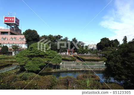 藥久稻荷神社牡丹園 85123305