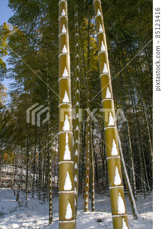 Bamboo forest landscape after a snowstorm-3 85123416