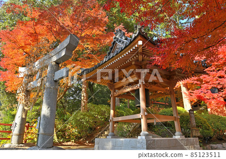 Daikozenji Temple "Bell Tower (Bell of Peace)" during the autumn leaves 85123511