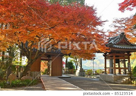 Daikozenji Temple "Niomon (Sanmon) and Bell Tower" during the autumn leaves 85123514