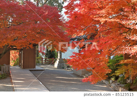 Daikozenji Temple "Niomon (Sanmon) and Bell Tower" during the autumn leaves 85123515