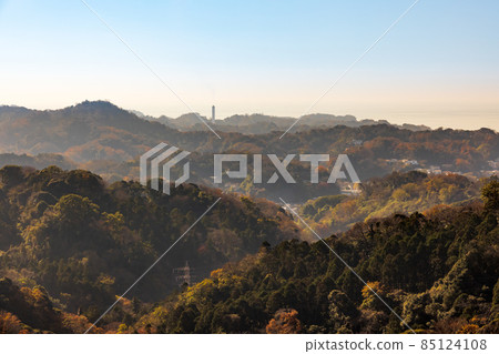 Beautiful mountains and autumnal trees Beautiful mountains and autumnal trees 85124108