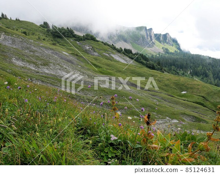 Mountain view of Palafries, East Switzerland (St. Gallen) 85124631