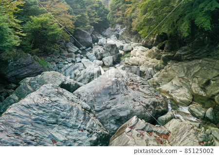 愛媛縣西條市鴨川上游風景 85125002
