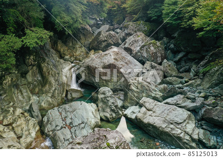 Scenery of the upper Kamo River in Saijo City, Ehime Prefecture 85125013