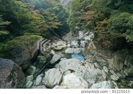 Scenery of the upper Kamo River in Saijo City, Ehime Prefecture 85125015