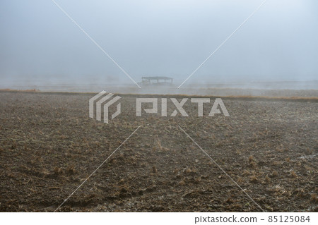 Scenery where the morning mist can be seen [winter] 85125084
