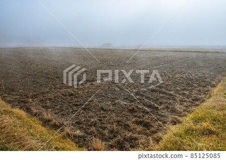 Scenery where the morning mist can be seen [winter] 85125085