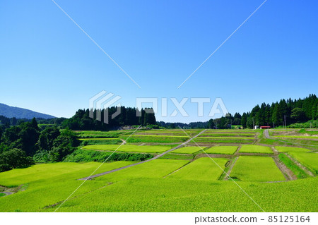 Tochio Raiden(新潟縣)的梯田 Tochio Raiden(新潟縣)的梯田 85125164